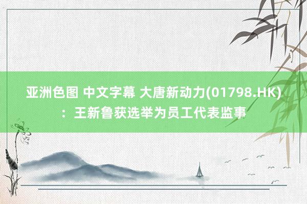 亚洲色图 中文字幕 大唐新动力(01798.HK):王新鲁获选举为员工代表监事