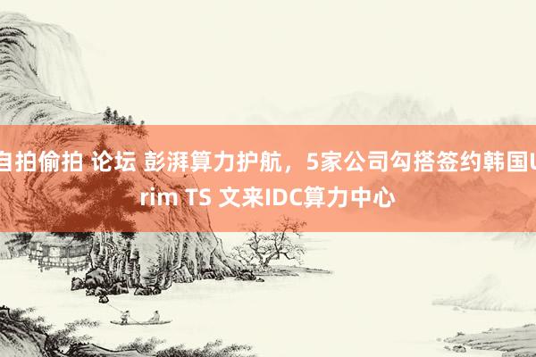 自拍偷拍 论坛 彭湃算力护航，5家公司勾搭签约韩国Urim TS 文来IDC算力中心