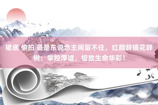 裙底 偷拍 最是东说念主间留不住，红颜辞镜花辞树：掌控厚谊，绽放生命华彩！