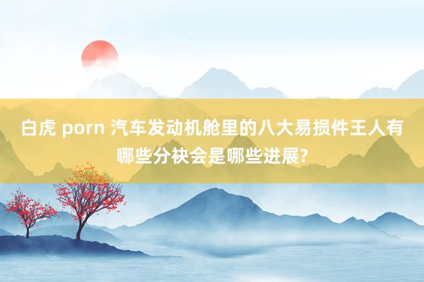 白虎 porn 汽车发动机舱里的八大易损件王人有哪些分袂会是哪些进展?