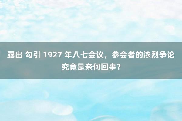 露出 勾引 1927 年八七会议，参会者的浓烈争论究竟是奈何回事？