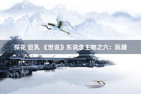 探花 巨乳 《世说》东说念主物之六：阮籍