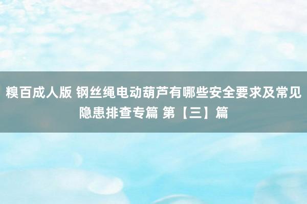 糗百成人版 钢丝绳电动葫芦有哪些安全要求及常见隐患排查专篇 第【三】篇