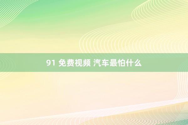 91 免费视频 汽车最怕什么